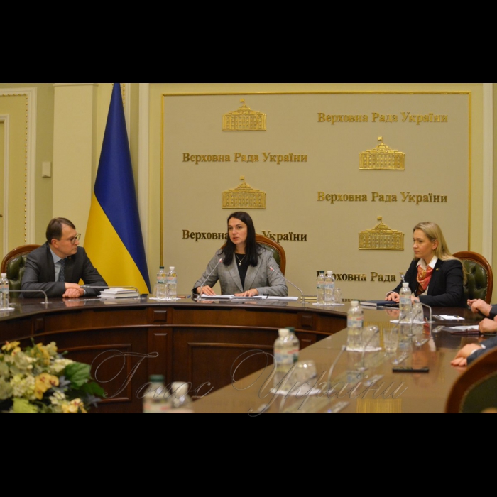 4 лютого 2019 за ініціативи Голови Комітету Верховної Ради України у закордонних справах Ганни Гопко відбулася зустріч народних депутатів України з Головою Конституційного Суду Литовської Республіки Дaйнюсом Жалімасом .