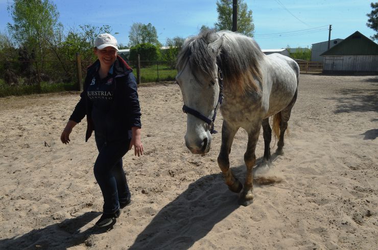 Соціальне ранчо «Horse Paradise» (Кінний рай), яке розмістилося в Пірнівській громаді, що на Київщині. Реабілітація коней.
Поблизу кордону Київської та Чернігівської областей понад місяць тому відкрилось нестандартне господарство - соціальне ранчо. 

Його співзасновниці - дві коневласниці  Галина Нагорна та Ксенія Березна. До війни кожна з них працювали за фахом - в журналістиці та фінансовій справі, для обох коні були виключно як хобі. Однак, повномасштабне вторгнення росії змінило життя кожної. Засновниці ранчо сконцентрували свої зусилля на порятунку і утриманні цих тварин. 

Зараз на ранчо мешкає 8 врятованих від війни коней і одне місячне лоша. 

Передусім, це коні зі спорту або ж яких селекційнували для спорту. 

Під час окупації на Київщині та на сході країни чимало спортивних стаєнь було зруйновано. Кадри розбомбленої конюшні в Бучі облетіли весь світ. Рашисти не шкодували нікого. У тому числі коней. Десятки спортивних коней були спалені заживо. 

Тому, якщо є можливість рятувати і зберігати життя цих тварин - то варто робити, переконані співзасновниці.
