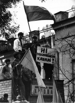 Мітинги. Лютий 1991. Резонанс на статтю 