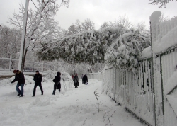 Київ, сильний снігопад.