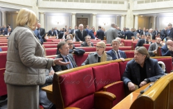 Пленарне засідання Верховної Ради України.