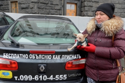 Акція під Кабміном власників авто з іноземною реєстрацією з вимогою доступного розмитнення як у Європі.