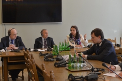 Комісія з питань європейської та євроатлантичної інтеграції України (Сейм Республіки Польща).