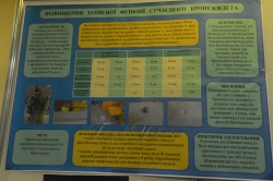 Київ. XI Всеукраїнський фестиваль науки в Інституті електрозварювання ім. Є.О. Патона НАН України.