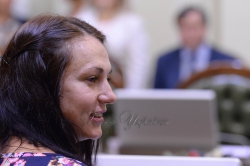 Засідання Погоджувальної ради депутатських фракцій (депутатських груп)