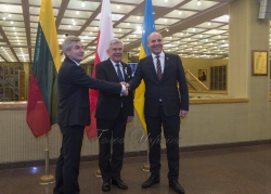 Візит Голови Верховної Ради України Андрія Парубія до Литовської Республіки для участі у роботі 9-ї сесії Міжпарламентської асамблеї Сейму Литовської Республіки