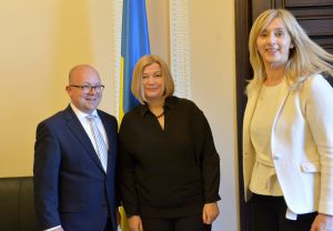Зустріч Ірини Геращенко з депутатами Вільної демократичної партії Бундестагу ФРН