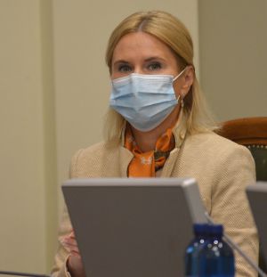 Засідання Погоджувальної ради депутатських фракцій (депутатських груп) Верховної Ради України 