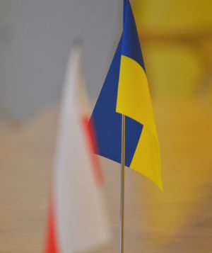 Робоча зустріч Заступниці Голови Верховної Ради України Олени Кондратюк з Віце-маршалком Сейму Республіки Польща Малгожатою-Марією Госєвською. Спільне покладання квітів і вшанування пам'яті загиблих учасників Революції Гідності на Алеї Героїв Небесної Сот