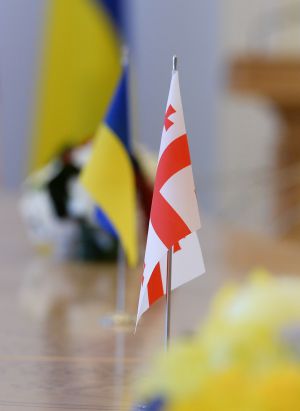  Зустріч Голови Верховної Ради України Дмитра Разумкова з Президентом Грузії Саломе Зурабішвілі