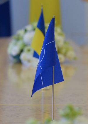 Зустріч Голови Верховної Ради України Дмитра Разумкова із Заступником Генерального секретаря НАТО Мірче Джоане

